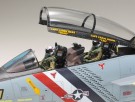 F-14D TOMCAT 1/48 Fly Skala Byggesett thumbnail