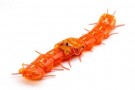 CENTIPEDE ROBOT (CLEAR ORANGE) thumbnail