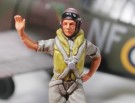BUFFALO PACIFIC THEATER thumbnail