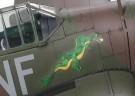BUFFALO PACIFIC THEATER thumbnail