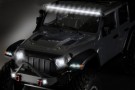 YUCATAN GRAY ABSIMA CRAWLER 1:8 thumbnail