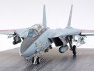 F-14A (LATE) LAUNCH SET 1/48 Fly Skala Byggesett thumbnail