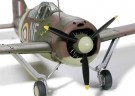 BUFFALO PACIFIC THEATER thumbnail